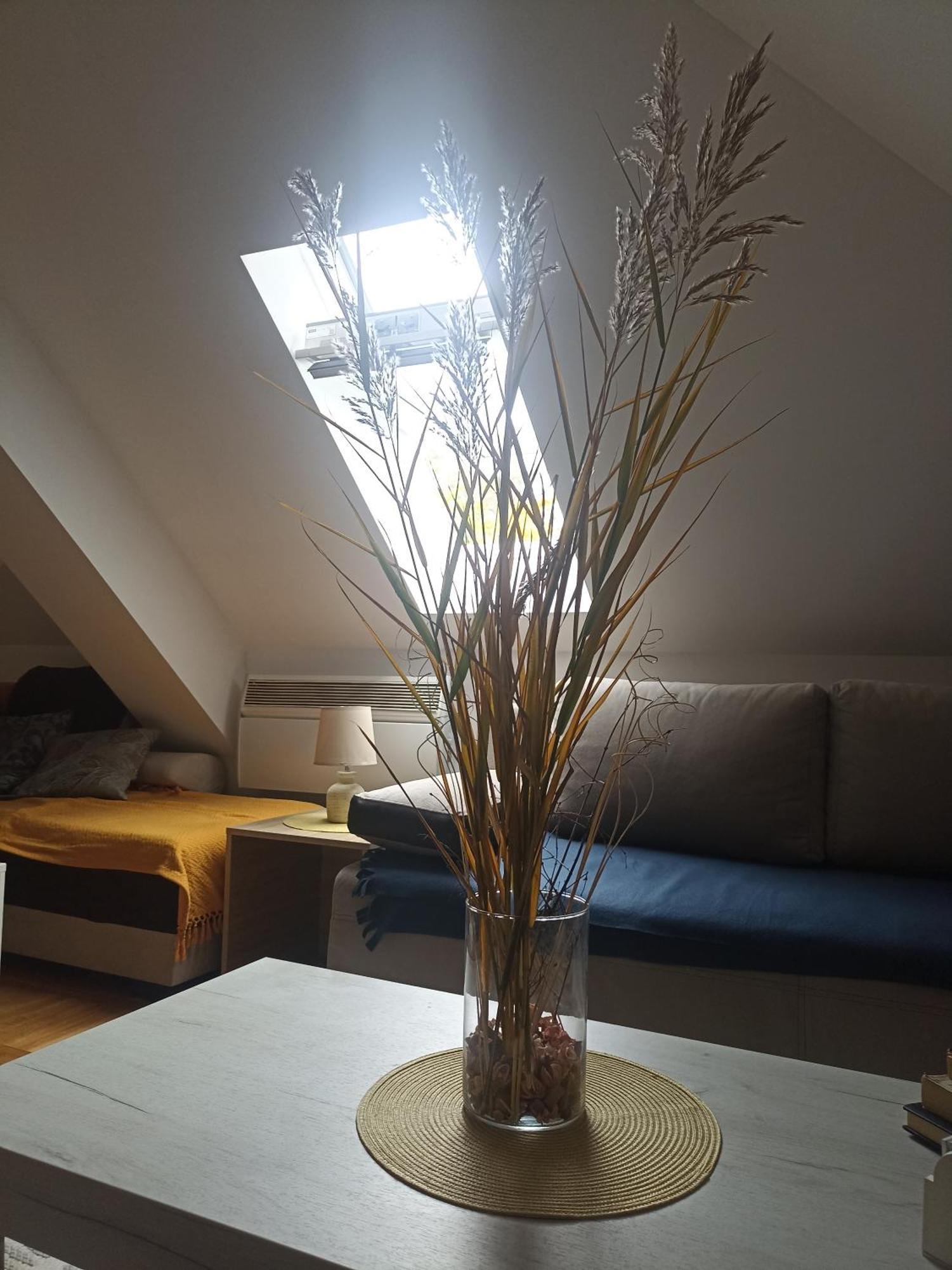 Pahulja Apartment Zlatibor